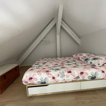 Apartmán A L'Ombre Du Figuier Horbourg Exteriér fotografie